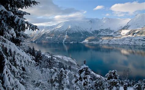 Download wallpapers winter, mountain landscape, Norway, spruce, fjord ...