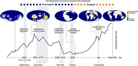 Environmental stability on Earth allowed marine biodiversity to flourish