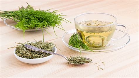 Horsetail Tea: Benefits, Side Effects, and Recipe | Chinese Teas 101