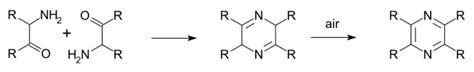 Pyrazine - wikidoc