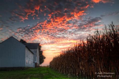 Farm Sunset in Autumn Landscape Photograph Patterson Farm Pink | Etsy