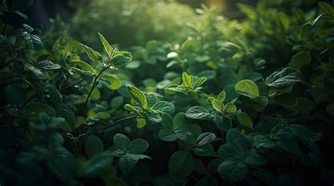 Premium AI Image | Lush Greenery Background for Cinematic Compositions ...