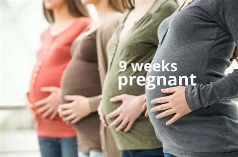 9 Weeks Pregnant - Your Baby & You at 9 Weeks - What to Expect