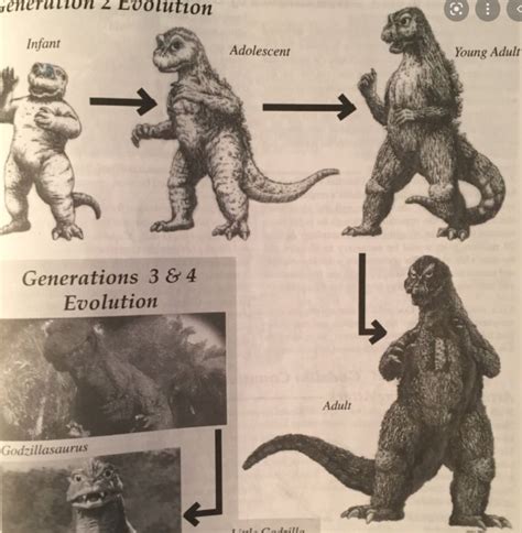 Godzilla Evolution: From Infant to Adult