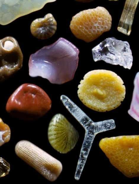 18 Microscopic Sand ideas | microscopic, grain of sand, sand