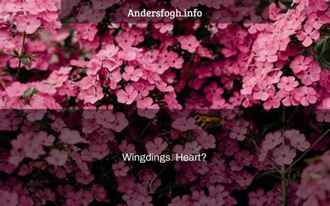 Wingdings. Heart? - Anders Fogh