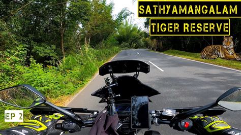 Endless Adventure of a Sathyamangalam Tiger Reserve | Unforgettable Experience @TNGYPSY_TGF ...