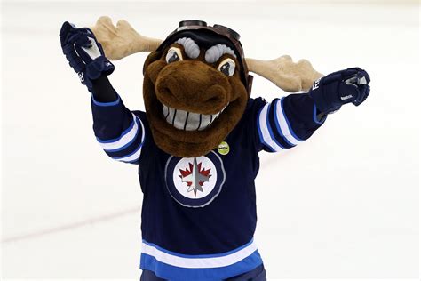 AHL Moves: The Manitoba Moose are Returning to Winnipeg - Arctic Ice Hockey