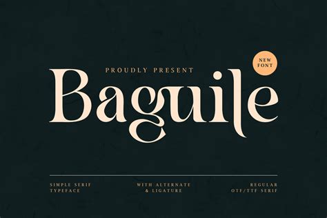 Baguile Font | typefactory | FontSpace