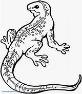 Lizard Coloring Pages At GetColoringscom  Free Printable Colorings sketch template