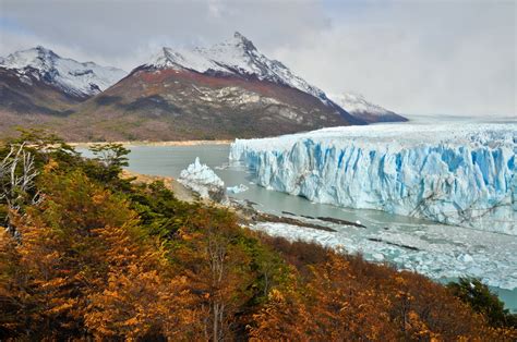 Glaciar Perito Moreno, Argentina Free Photo Download | FreeImages