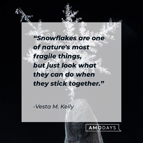 57 Snowflake Quotes That Speak of Beauty, Wisdom, and Originality