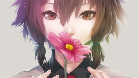 anime, Anime Girls, Flowers, Closeup, Soft Shading Wallpapers HD ...