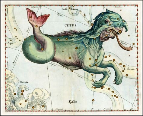 1687 old CELESTIAL MAP constellation Hevelius CETUS WHALE SEA MONSTER ...