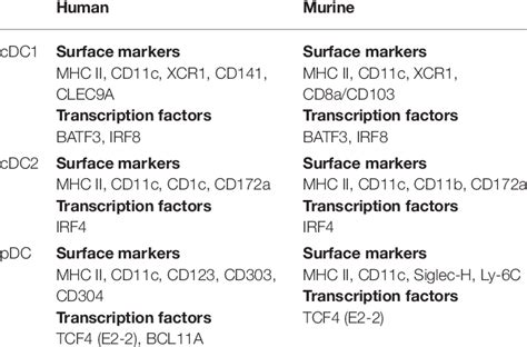 Main markers of dendritic cell subtypes. | Download Scientific Diagram