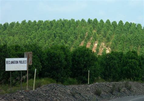 Restoring the Land: Successful Mine Reclamation Examples