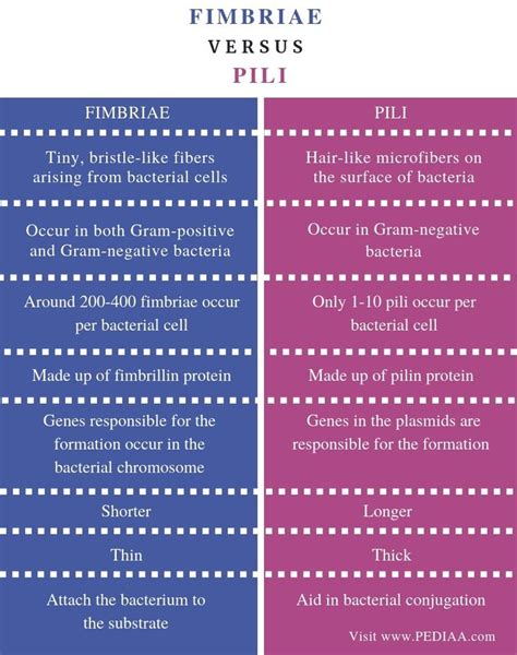 What is the Difference Between Fimbriae and Pili - Pediaa.Com | Biology ...