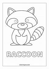 Raccoon Printable Coloring Page For Kids  Home sketch template