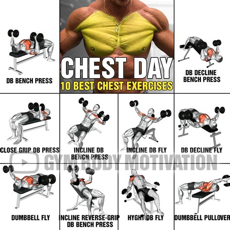 Chest Workout With Dumbbells