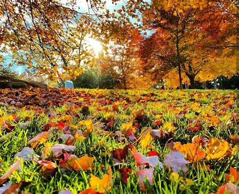 Fall colors on Lookout Mountain near Chattanooga, Tennessee | Fall ...