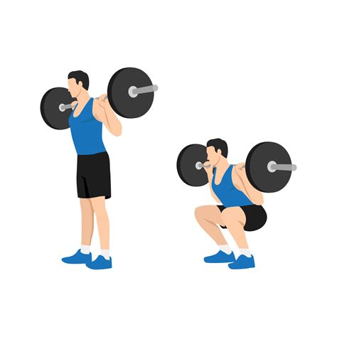 Man doing Squat with barbell exercise. Flat vector illustration isolated on white background ...