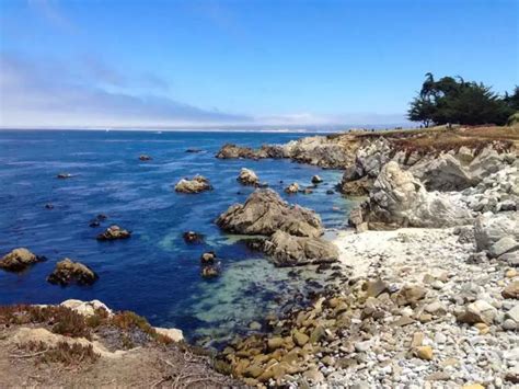 10 Best Monterey Hiking Trails near California's Central Coast | The Adventures of Panda Bear