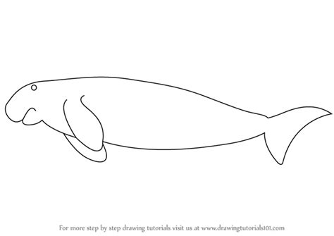 How to Draw a Dugong (Sea Water Animals) Step by Step | DrawingTutorials101.com