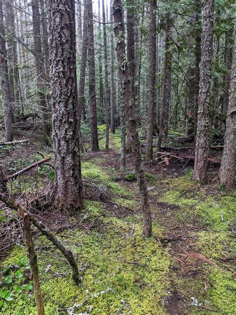 Cloud 9 Hiking Trail - Nanaimo, British Columbia