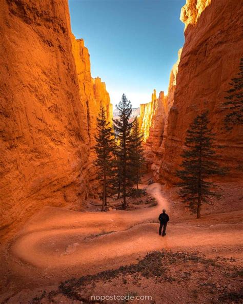 HIKING AT BRYCE CANYON (2022) - Epic Navajo Loop Trail