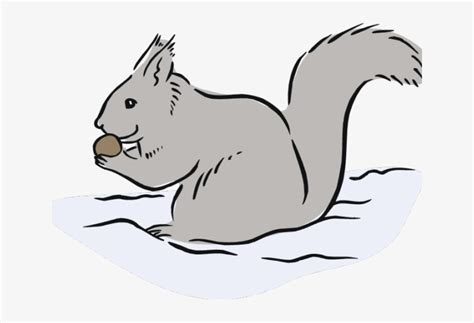 Free Gray Squirrel Cliparts, Download Free Gray Squirrel Cliparts png images, Free ClipArts on ...