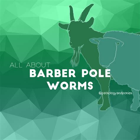 Barber Pole Worms - Pathology and Ponies