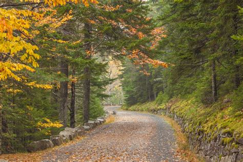 Maine Fall Foliage - Visit Bar Harbor - Terramor Outdoor Resorts