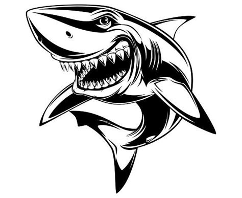 Shark, White shark, SVG,Graphics,Illustration,Vector,Logo,Digital,Clipart | Shark illustration ...