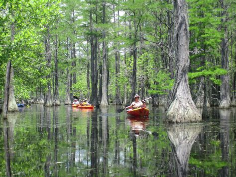 7 Places to Go Kayaking in Georgia | Explore Georgia