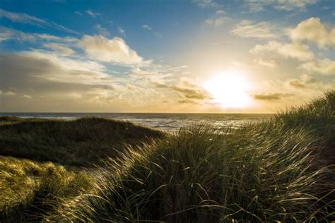 5,100+ Jutland Beach Stock Photos, Pictures & Royalty-Free Images - iStock