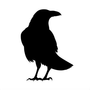 Raven Outline Clipart