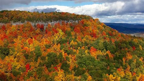 Thacher State Park Foliage peak October 17 | State parks, Natural landmarks, Landmarks