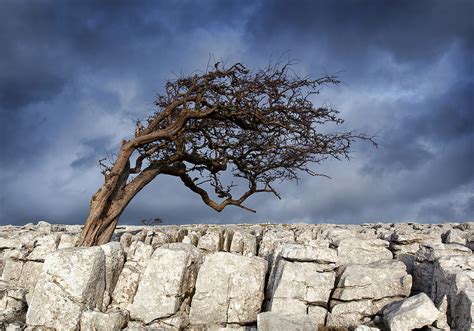 Tim Harris Landscape Photography - Limestone Pavement