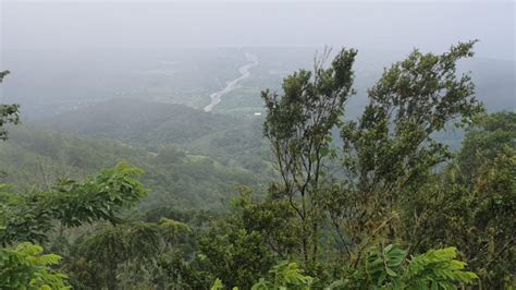 Unique Coffee Growing Conditions in Jamaica's Blue Mountains – Birdy's ...