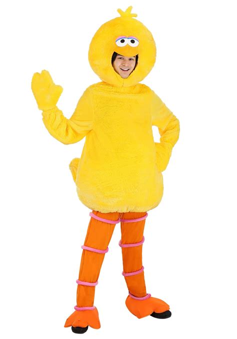 Sesame Street Adult Big Bird Costume – Kids Halloween Costumes