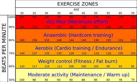 Normal Heart Rate During Cardio Workout - WorkoutWalls