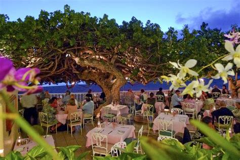 Reserve a table at Hau Tree Lanai, Honolulu on TripAdvisor: See 1,049 unbiased reviews of Hau ...