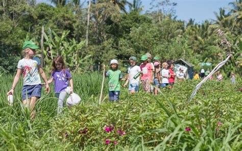 What is the Green School Curriculum? - Green School Bali