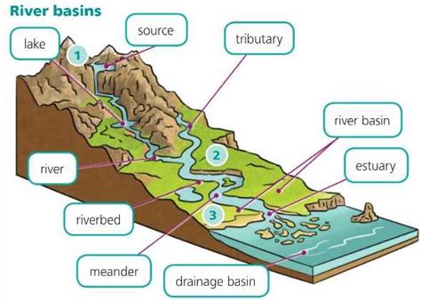 Understanding the River System: A Comprehensive Diagram