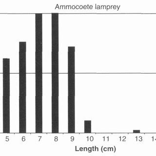 Mouth structure of adult lamprey: a) sea lamprey, Petromyzon marinus ...