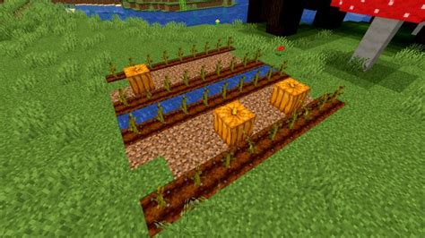 Minecraft pumpkin guide | PCGamesN