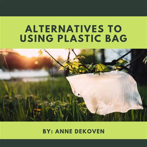 Alternatives to Using Plastic Bag - HubPages