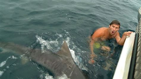 Shark Attack - Surfer Survives Great White Shark Attack After Punching It ... : A shark 'attack ...