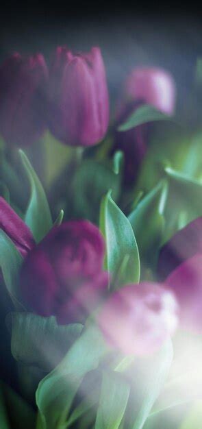 Premium Photo | Purple tulip bouquet