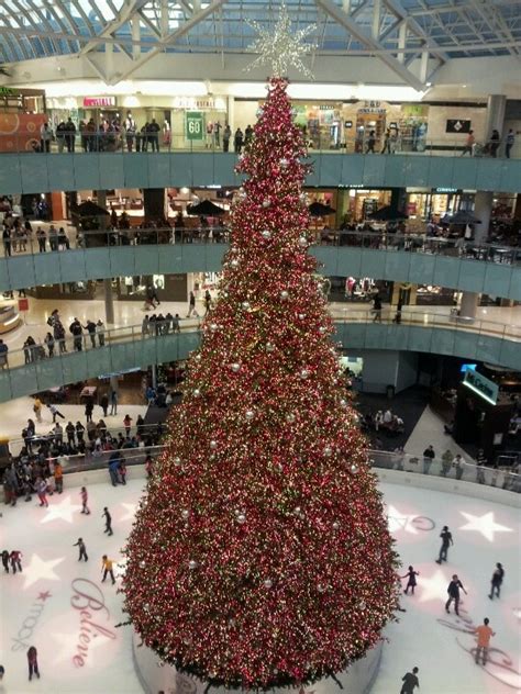 Macy's Christmas Tree | Christmas tree, Holiday decor, Christmas time